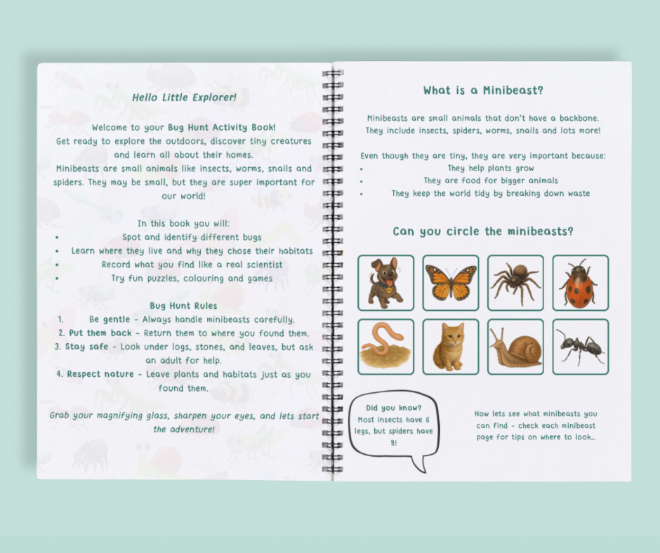 Bug Hunt Activity Book – Reusable Wipe-Clean or Digital Download